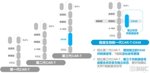 中国生物科技服务 8037.HK 自主创新CAR T疗法的明日之星