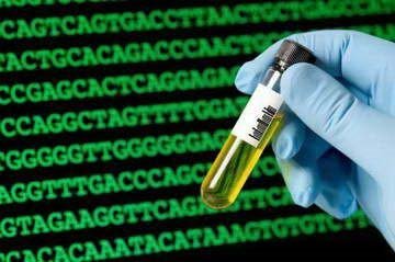 基因测序开打价格战,两年降价7万多 - 基因检测,基因测序 - 科技控-